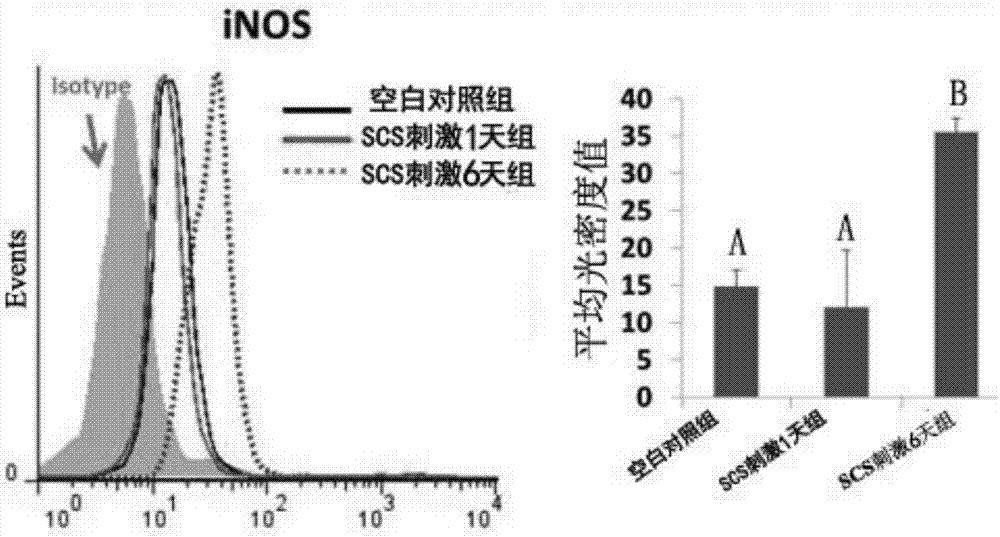 SCS用于制备巨噬细胞M2极化诱导剂的应用的制造方法与工艺