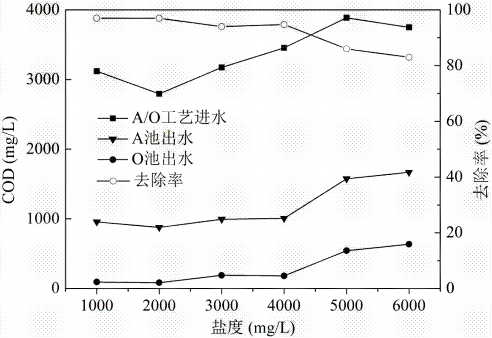 一種高COD高鹽度制藥廢水的生物處理組合工藝的制造方法與工藝