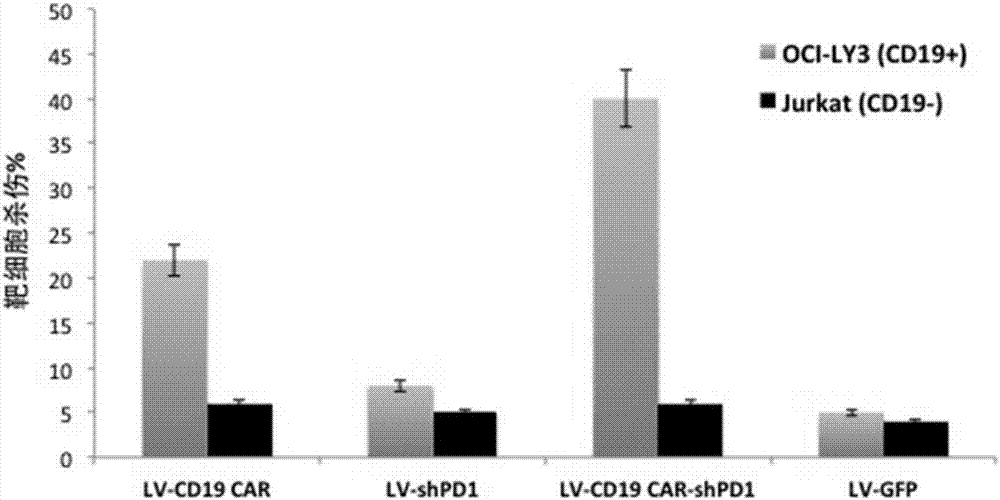 治療B細(xì)胞白血病及B細(xì)胞淋巴瘤的治療組合物的制造方法與工藝