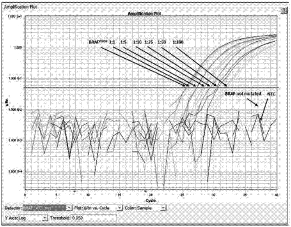 一种检测BRAFV600E基因突变的试剂盒的制造方法与工艺