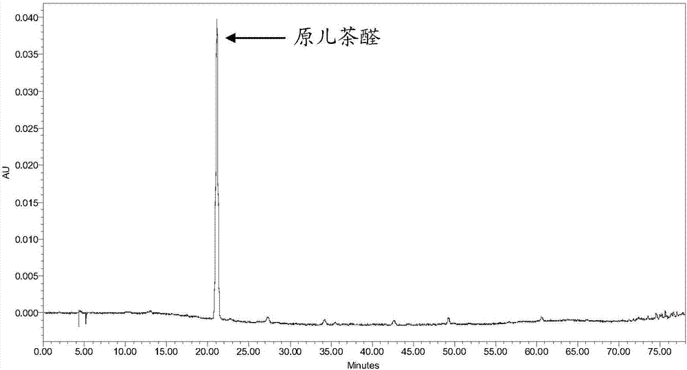 一種同時精制丹酚酸A和原兒茶醛的方法與流程