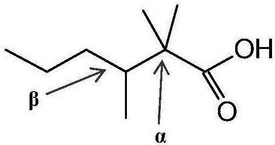 α,α‑支化新壬酸的缩水甘油酯及其合成和应用的制造方法与工艺