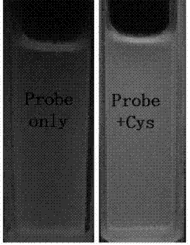 一種用于檢測半胱氨酸的熒光探針及其制備方法和應用與流程