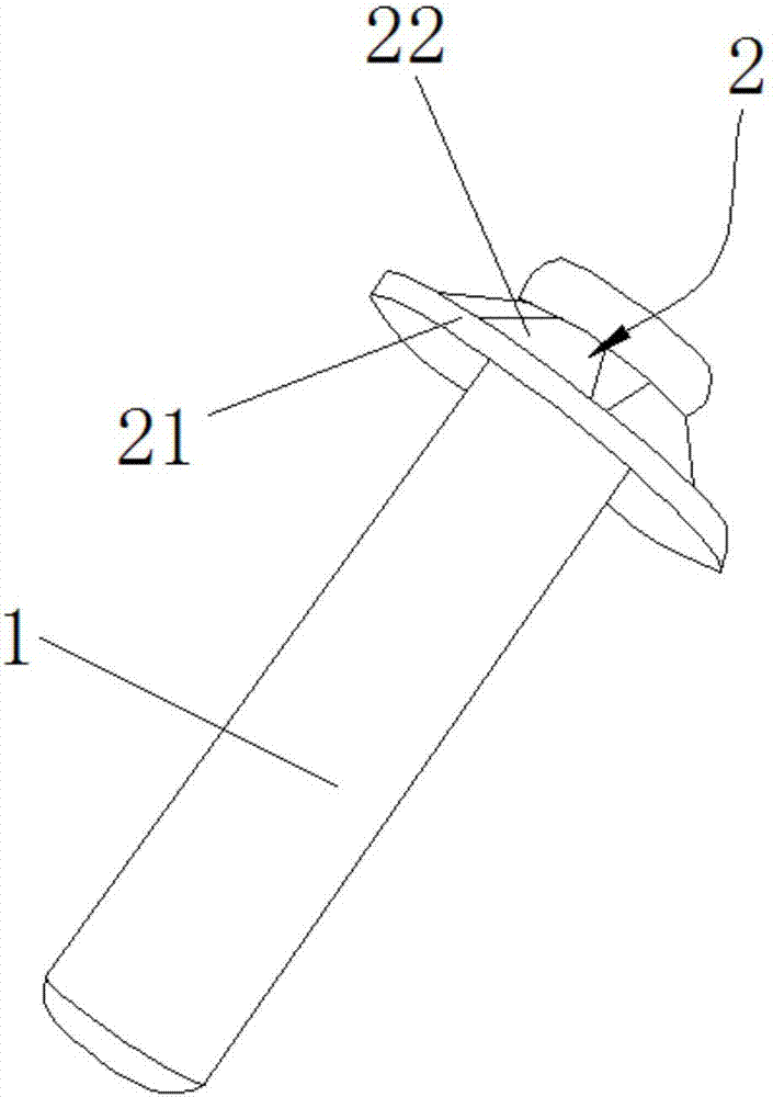 柱塞結(jié)構(gòu)及柱塞泵的制造方法與工藝