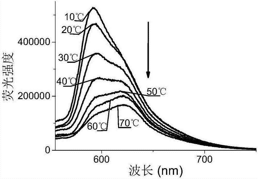 氟硼熒光染料粘度計(jì)及其制備方法和應(yīng)用與流程