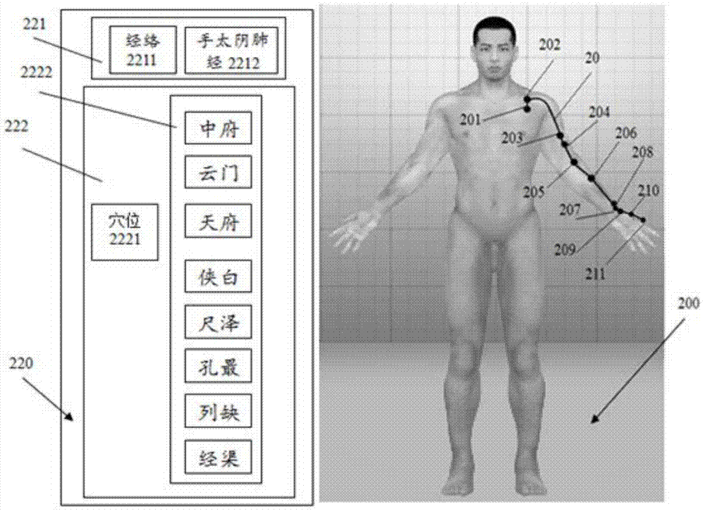 一种基于三维人体模型的经络穴位显示系统及方法与流程