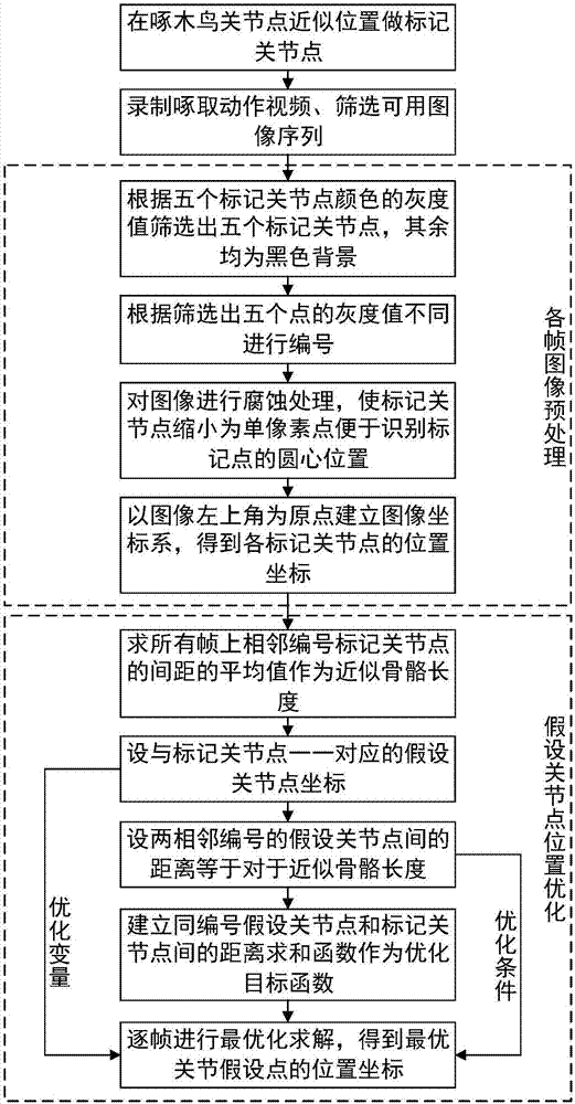 一種基于運動圖像序列的啄木鳥關(guān)節(jié)點定位方法與流程