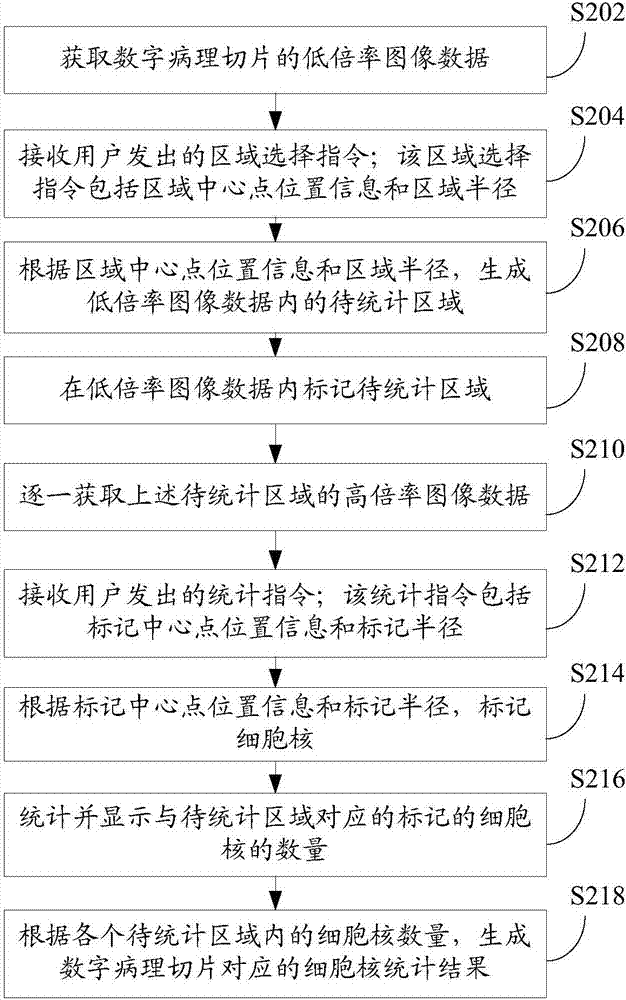 細胞核統(tǒng)計方法和裝置與流程