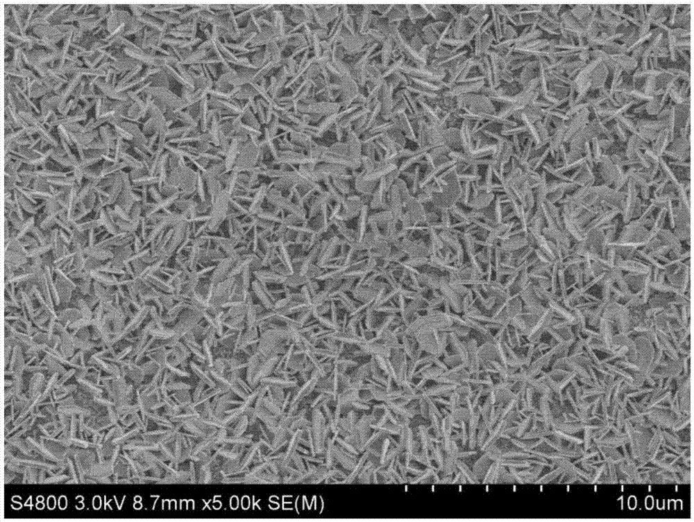 一種羥基氧化鐵/生物質(zhì)碳鈉離子電池用自支撐負(fù)極的制備方法與流程