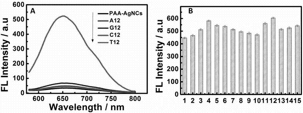 一种膜蛋白检测制剂、非标记肿瘤纳米探针及使用方法与流程