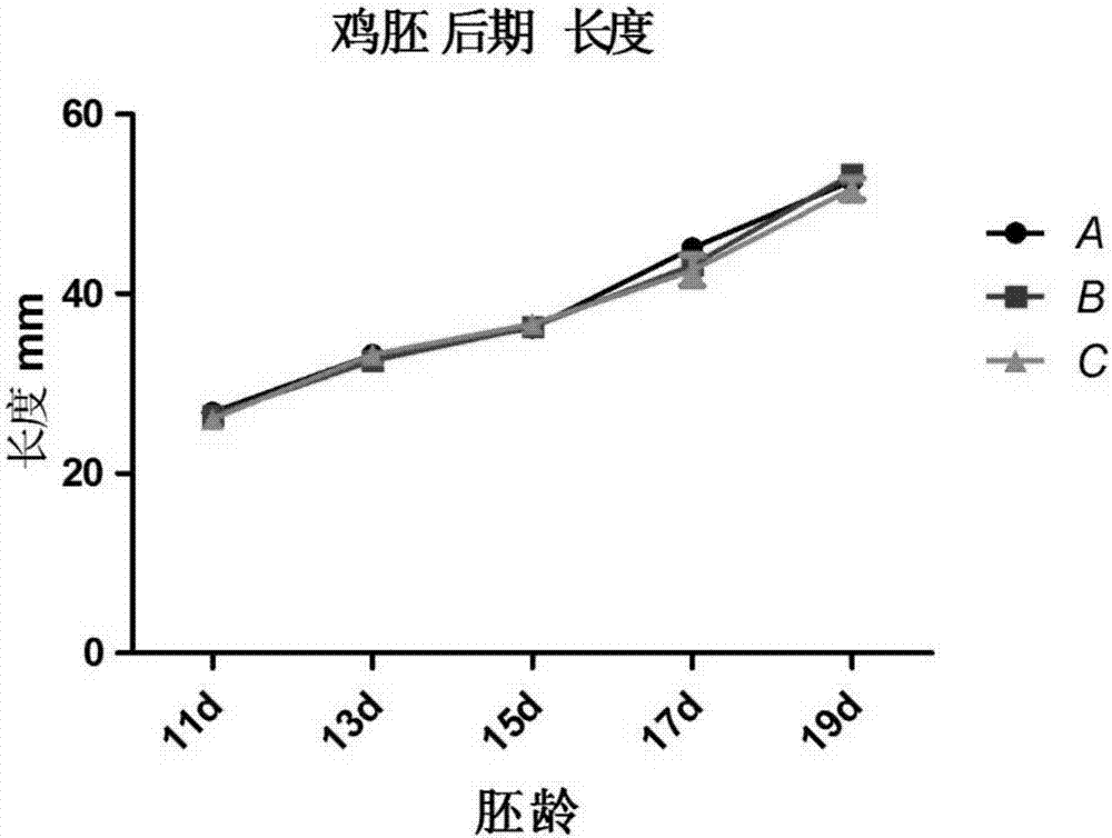 一种提高肉鸡生长和产肉性能的肉种鸡饲料的制造方法与工艺