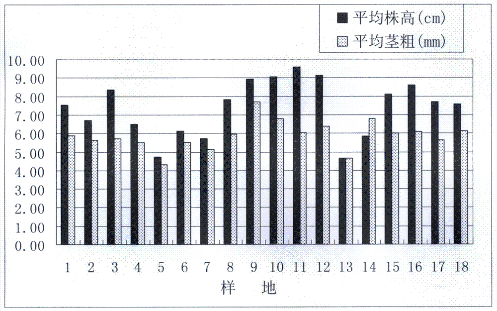 一種喀斯特地區(qū)石頭上種植鐵皮石斛的環(huán)境選擇方法與流程