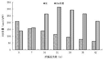 一種薄殼山核桃嫩枝扦插方法與流程