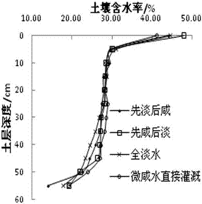 一種鹽堿地微咸水與淡水間歇組合灌溉方法與流程