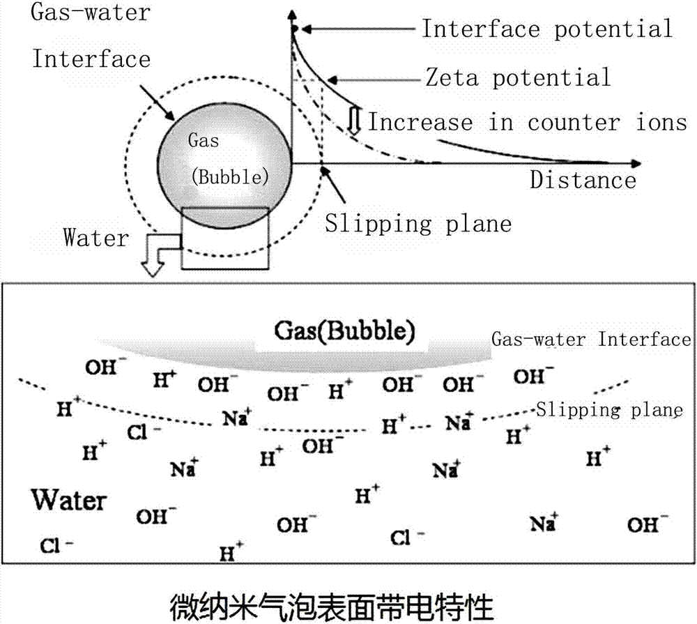 一種調(diào)節(jié)女性陰道微生態(tài)的婦科陰道洗液及其制備方法與流程