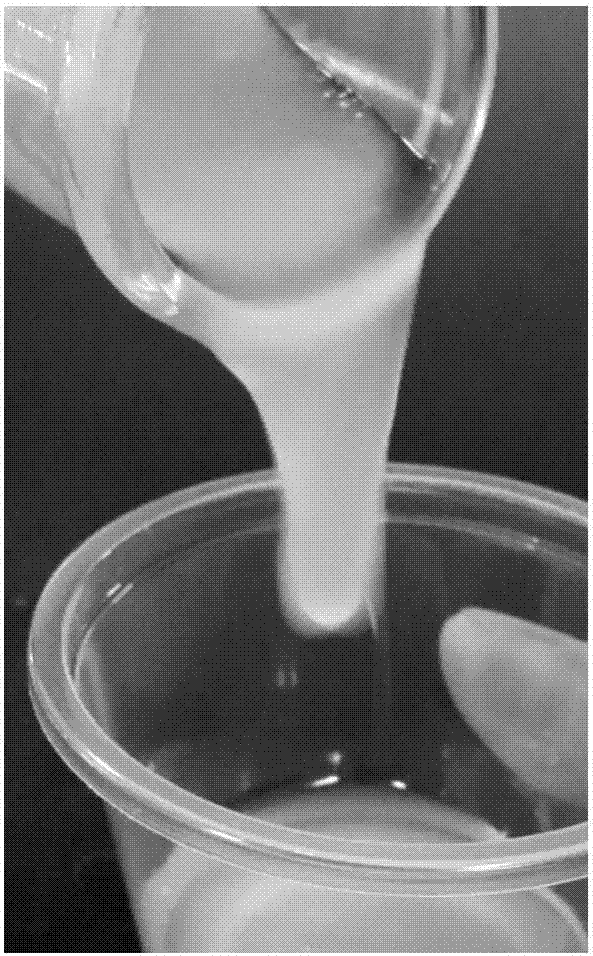 一种发酵型奶布丁及其制备方法与流程