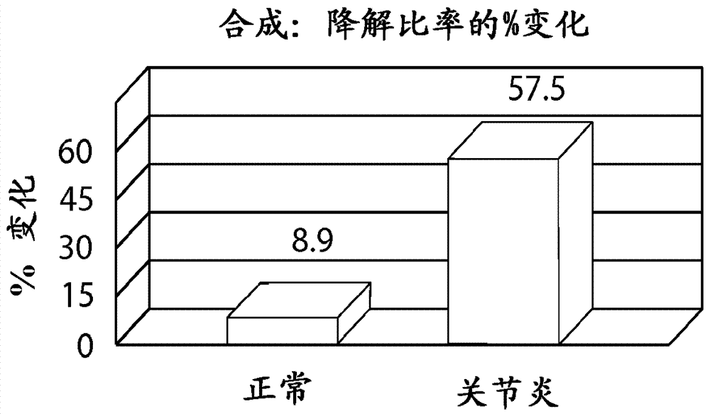 用于改善或预防炎性病况的包含姜的组合物的制造方法与工艺