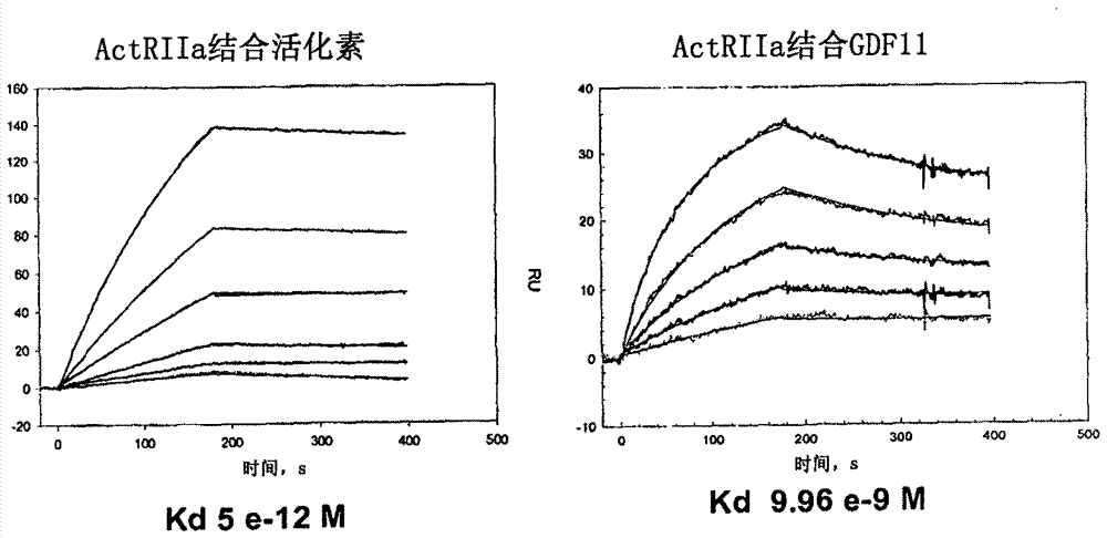 活化素?ACTRIIA拮抗劑及在治療或預(yù)防乳腺癌中的用途的制造方法與工藝