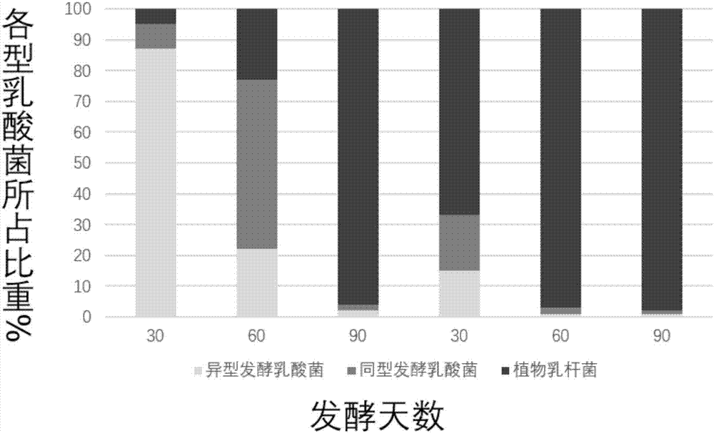 一種低溫乳酸蔬菜泡菜加工方法與流程