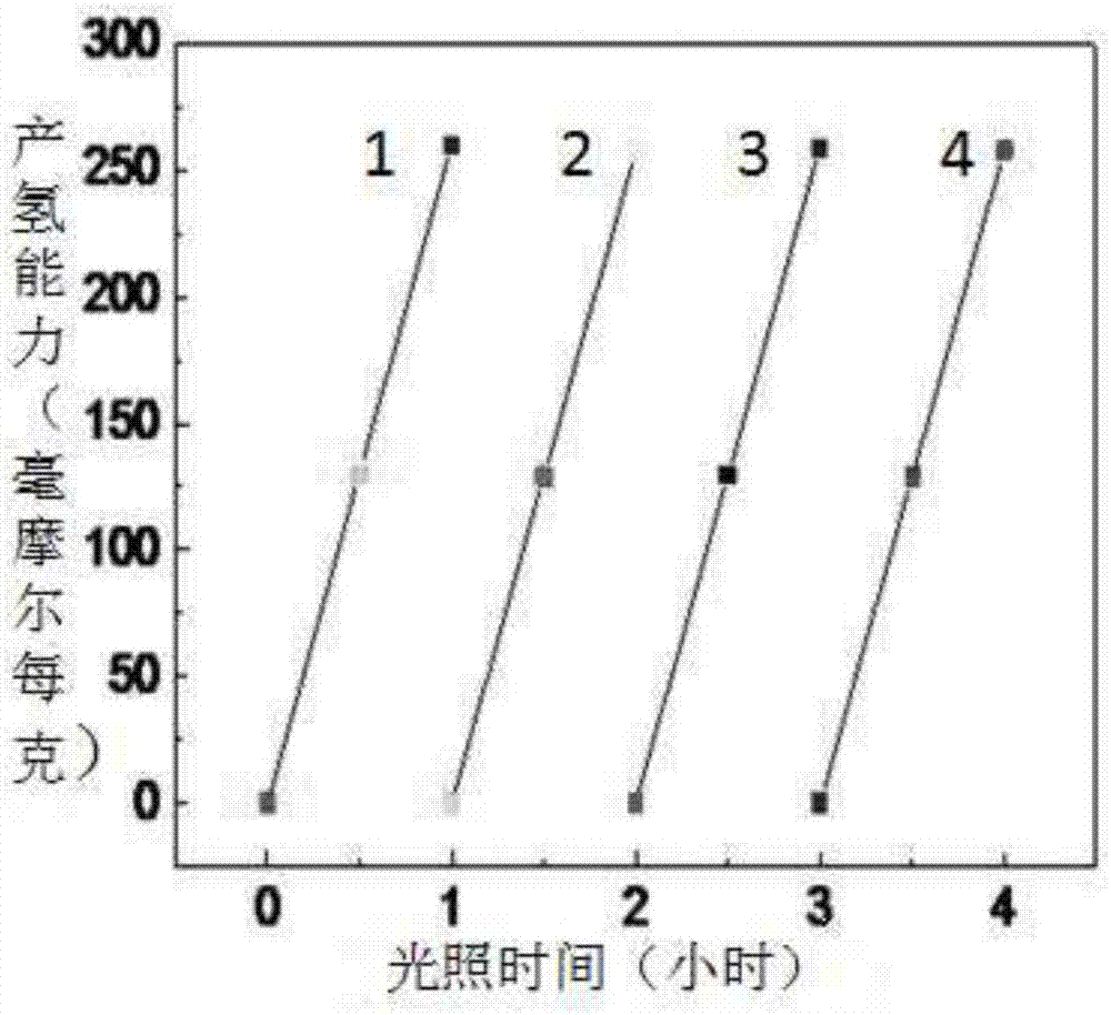 双异质结构光催化剂及其应用和制备方法与流程