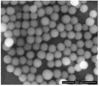 一种制备均匀纳米微球Na0.5Bi0.5TiO3晶体的方法与流程