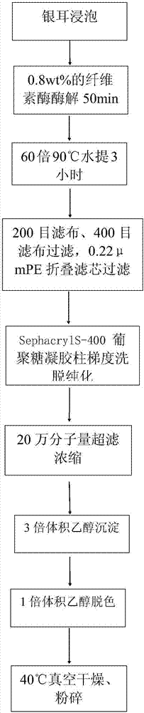 一种银耳多糖及其制备方法与流程