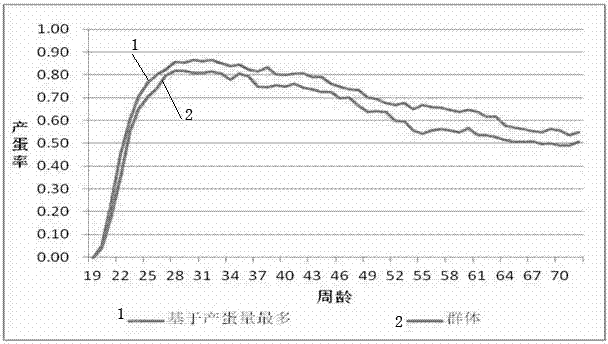 一種基于產(chǎn)蛋量最多的蛋雞生長(zhǎng)發(fā)育規(guī)律的研究方法與流程