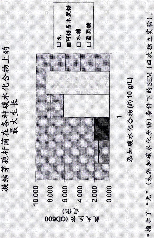 合生素产品的制造方法与工艺