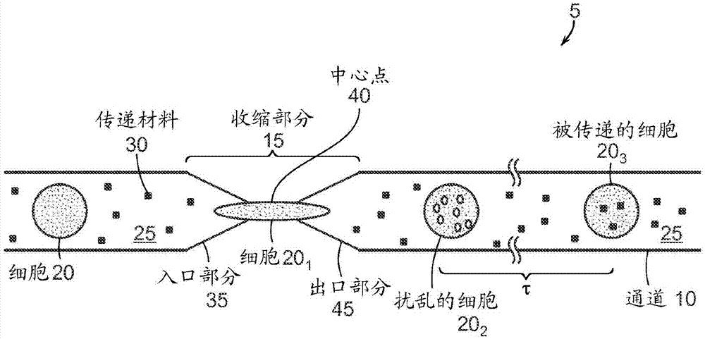 细胞内传递的制造方法与工艺