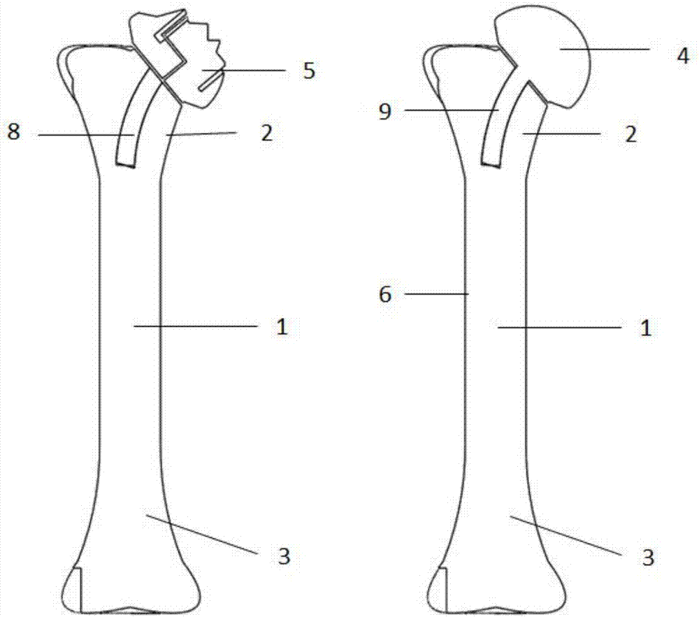 一种3D打印的肱骨模型及其制备方法与流程