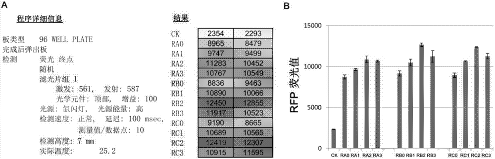 硫氫化鈉在促進(jìn)大腸桿菌外源蛋白質(zhì)表達(dá)中的應(yīng)用的制造方法與工藝