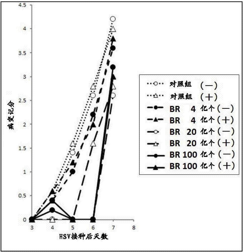 用于改善或预防疱疹病毒感染症的组合物的制造方法与工艺