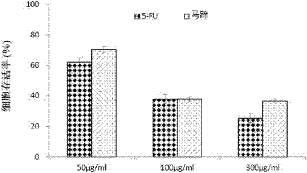 一種荸薺皮抗癌提取物及其制備方法和應(yīng)用與流程