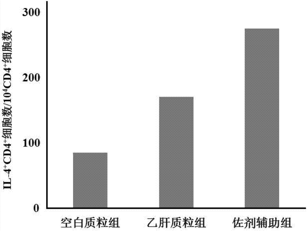 乙型肝炎DNA疫苗的免疫佐剂的制造方法与工艺