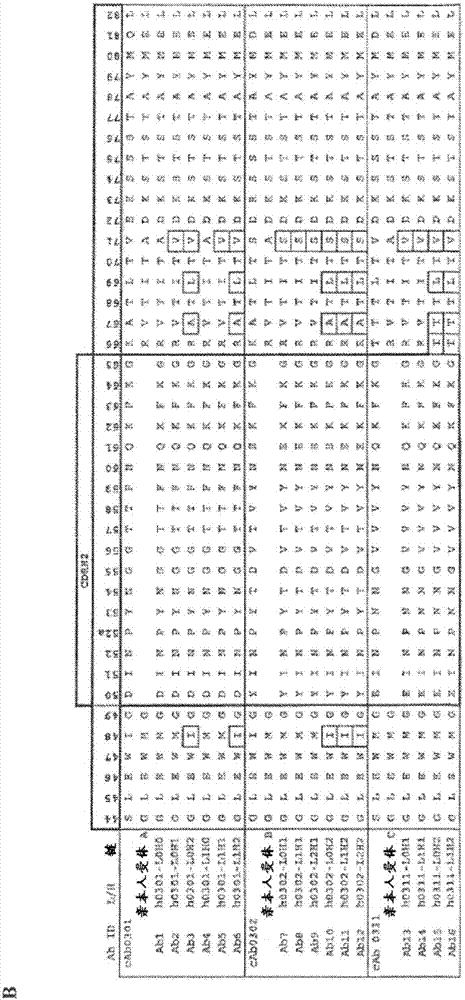 結(jié)合CSF1R的抗體的制造方法與工藝