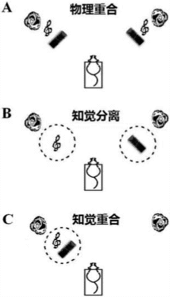 一種聽(tīng)覺(jué)注意PPI調(diào)節(jié)系統(tǒng)的制造方法與工藝