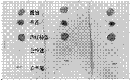 一種去漬組合物與一種洗滌用品的制造方法與工藝