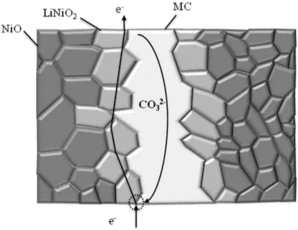 一种原位合成碳酸根离子‑电子混合导体双相膜的制备方法及其制得的产品与流程