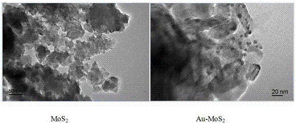 一種花瓣?duì)頜oS2負(fù)載Au光催化劑的制備方法與流程