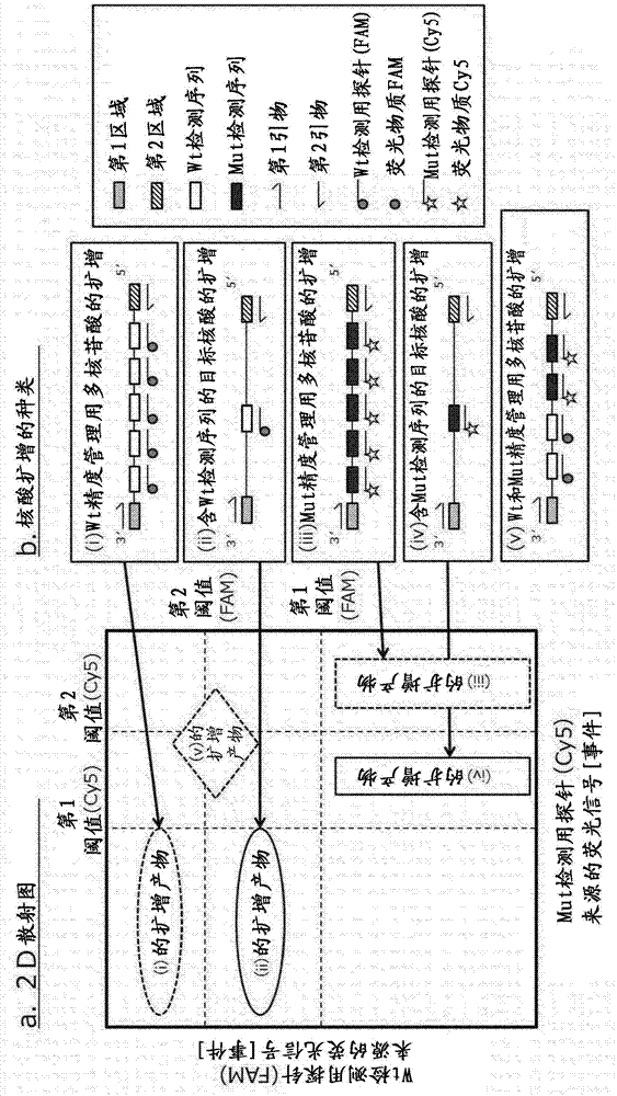 核酸擴(kuò)增的精度管理方法、精度管理用試劑及其試劑盒與流程