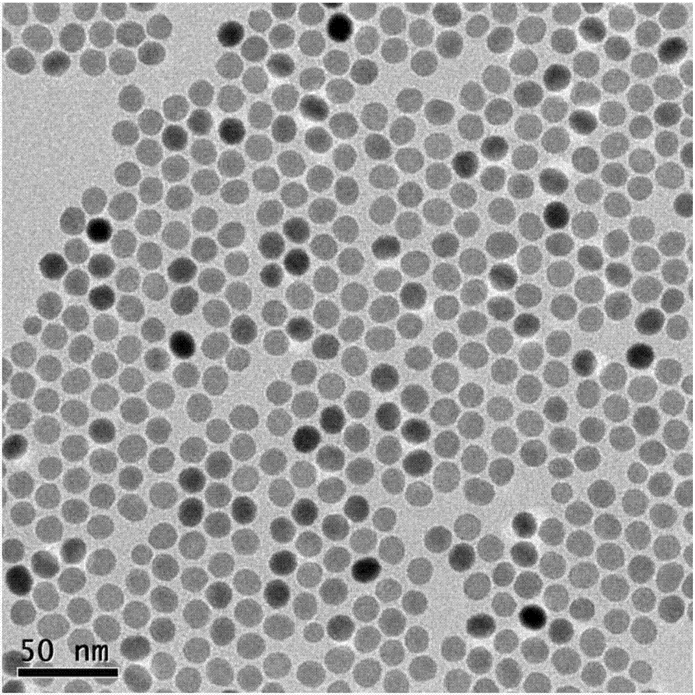 一種基于稀土納米材料熒光放大的microRNA檢測方法與流程