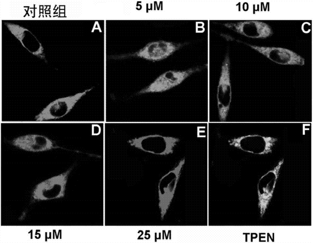 P?Zn熒光探針、制備方法及在生物成像中的應(yīng)用與流程