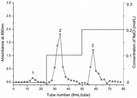 羅布麻花多糖、提取方法及其應(yīng)用與流程