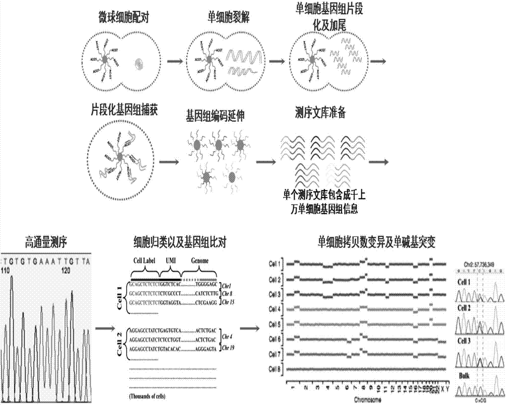 一種利用配對(duì)微流控芯片高通量分析單細(xì)胞內(nèi)含物的方法與流程