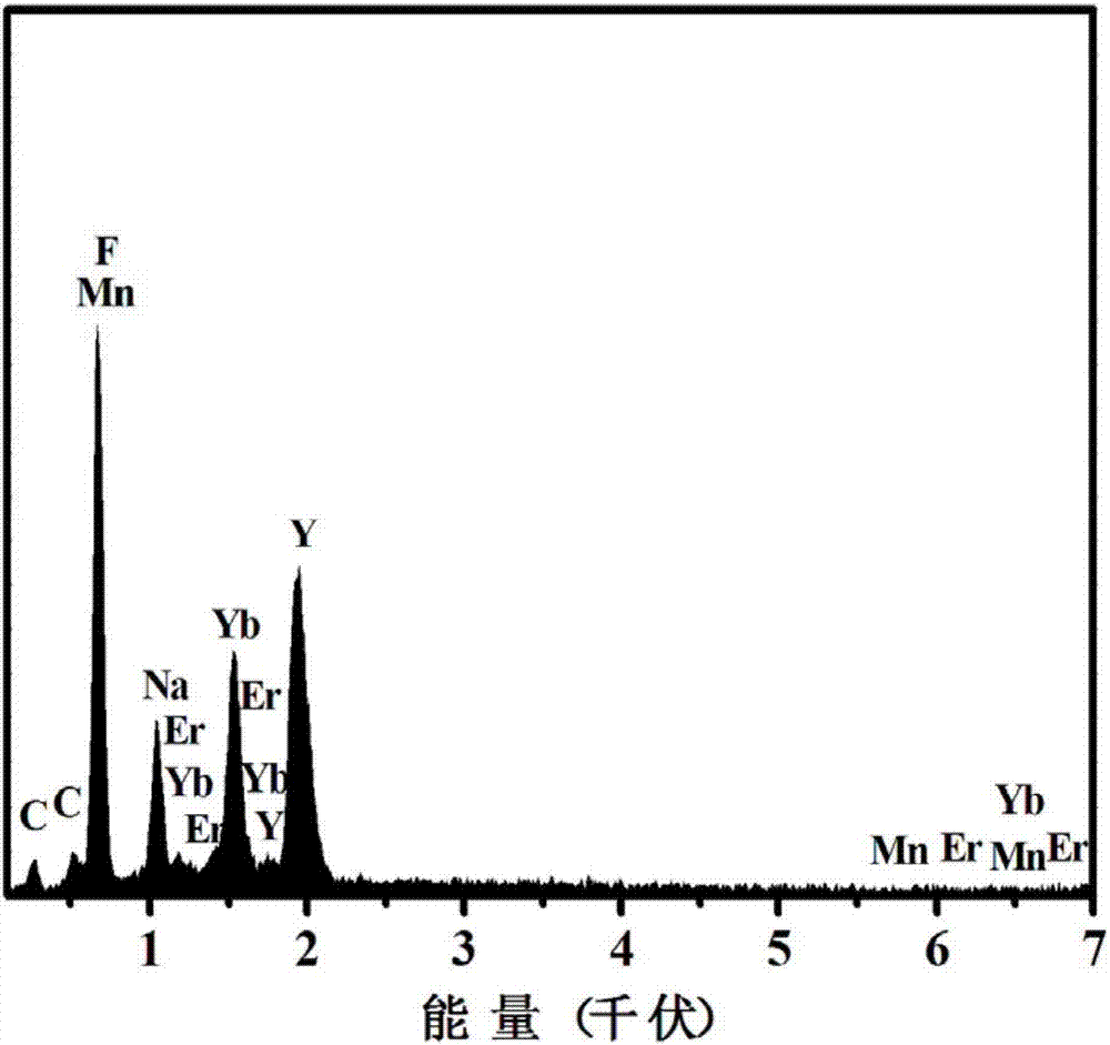 二氧化錳納米片修飾的上轉(zhuǎn)換發(fā)光納米材料及制備方法、過氧化氫或膽堿的檢測方法及應(yīng)用與流程