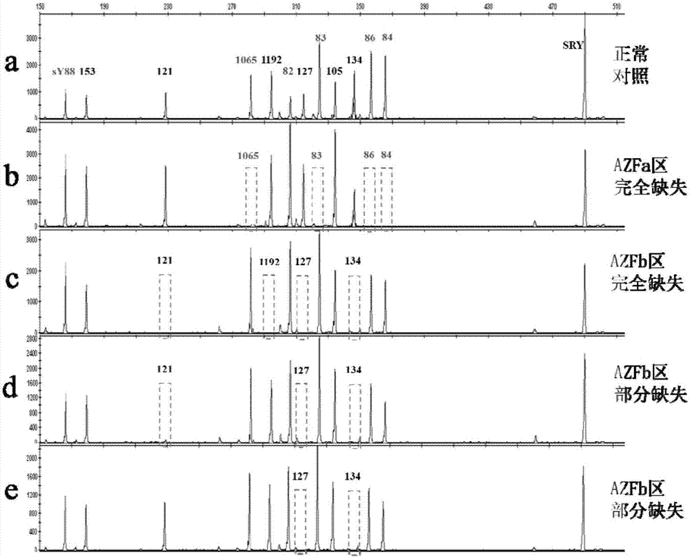檢測Y染色體AZFa和AZFb微缺失的多重PCR引物組、試劑盒和應(yīng)用的制造方法與工藝