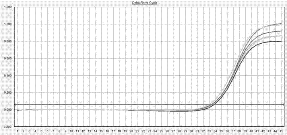 一種血液游離DNA保護(hù)劑及其制備方法與應(yīng)用與流程