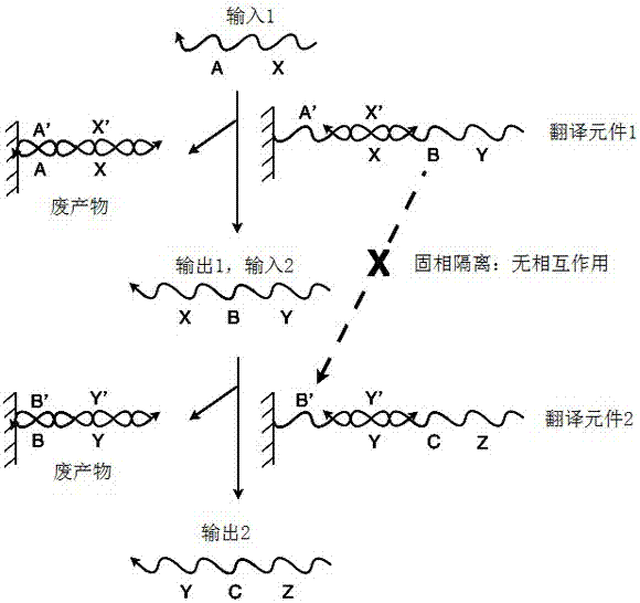 旋转性隔离的翻译元件的制造方法与工艺