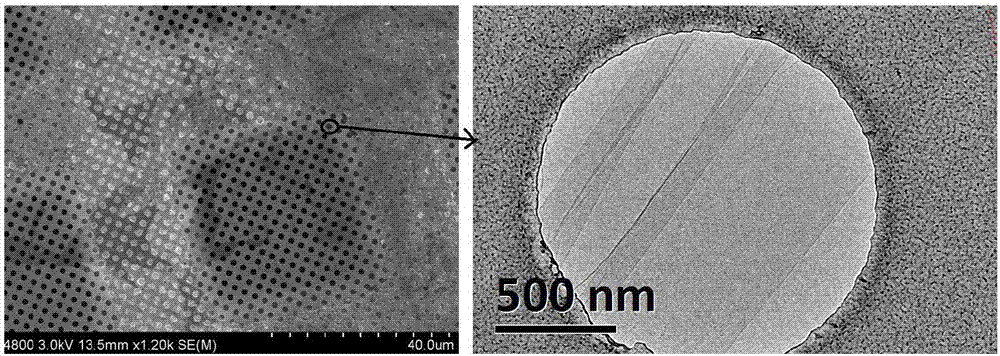 一種碳基透射電鏡樣品載網(wǎng)及其制備方法與流程