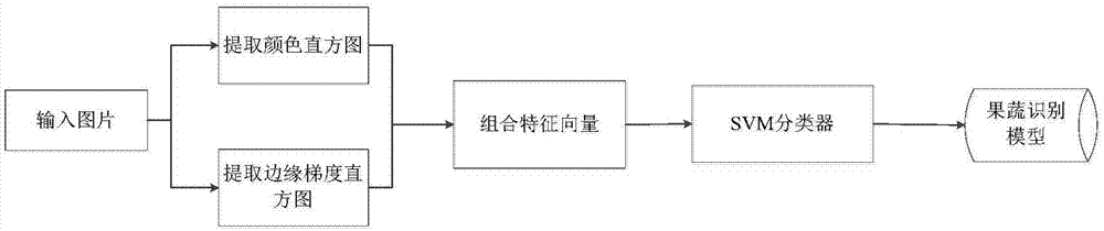 果蔬新鮮度的識別方法及裝置與流程